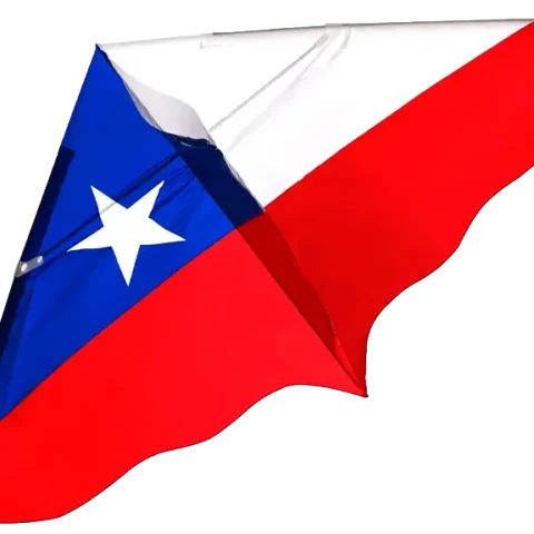 Cometas Chilenos